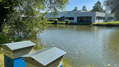 image-environnemental-4
